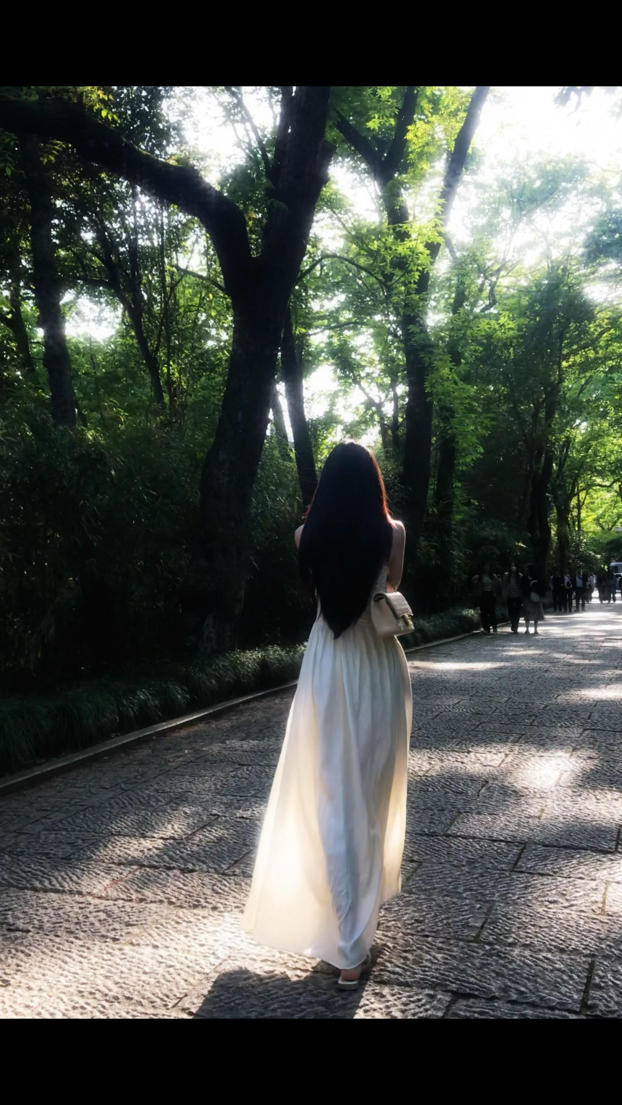 你的社交动态不更新了 我该从哪里了解你的近况