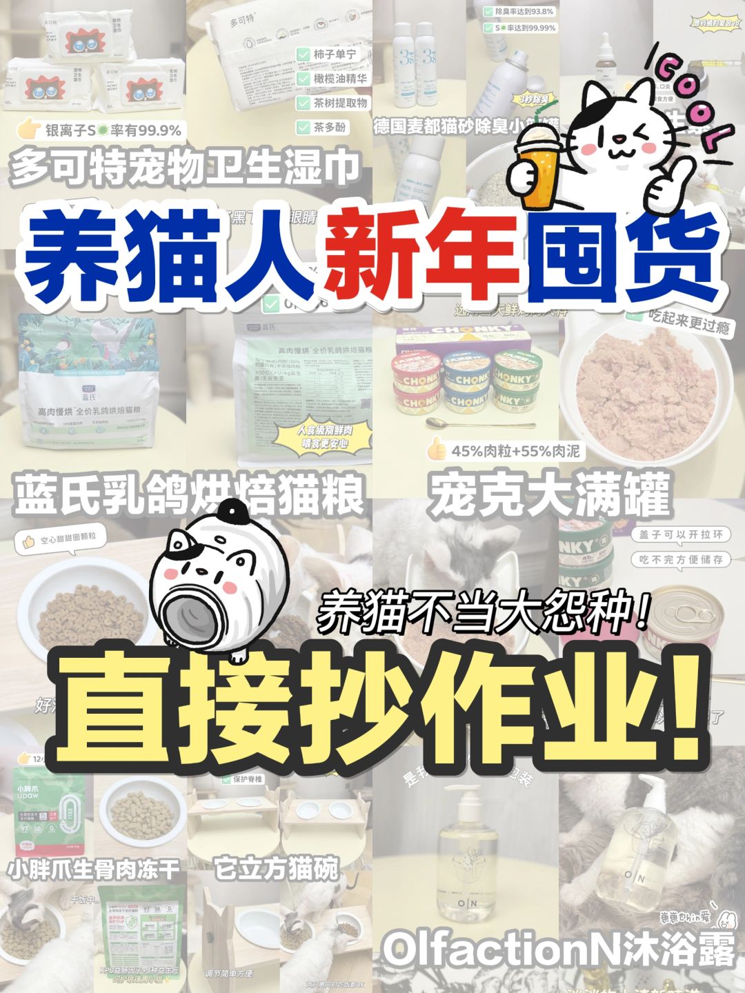 直接抄作业的养猫清单｜新年氛围感拉满