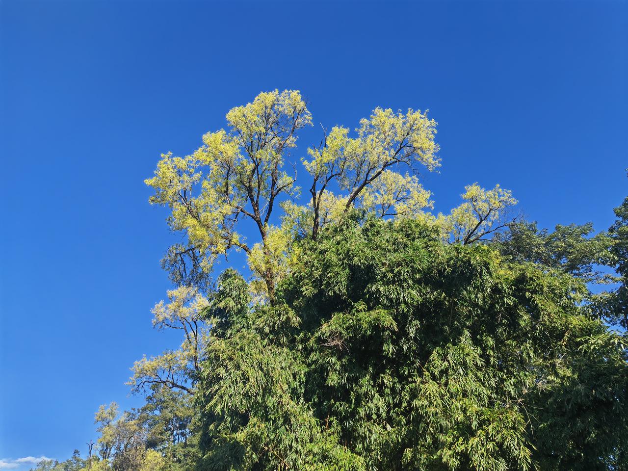 家乡的山水蓝天白云