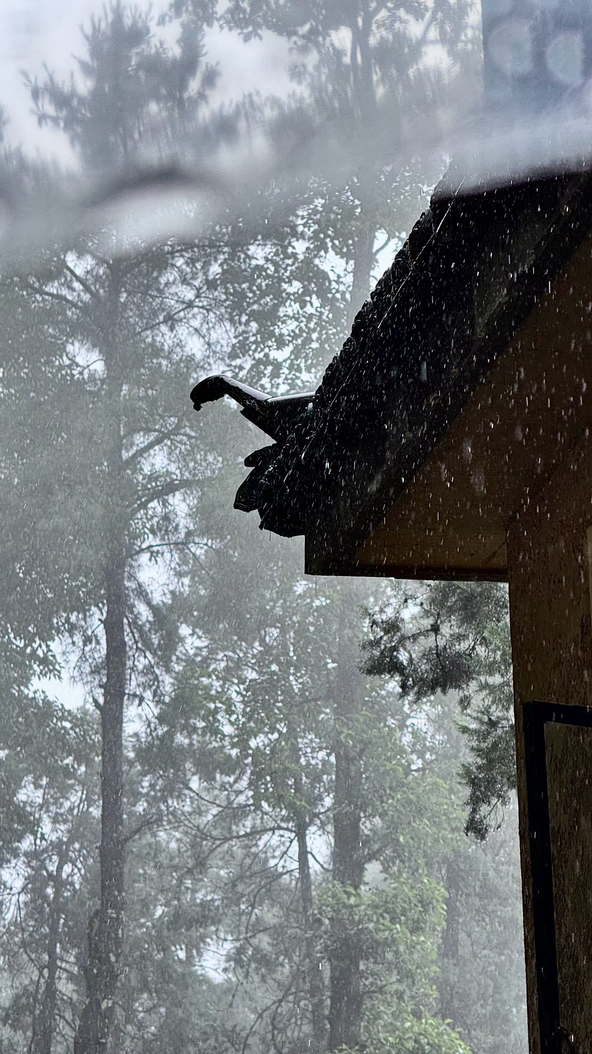 听雨 观雾 赏青山 