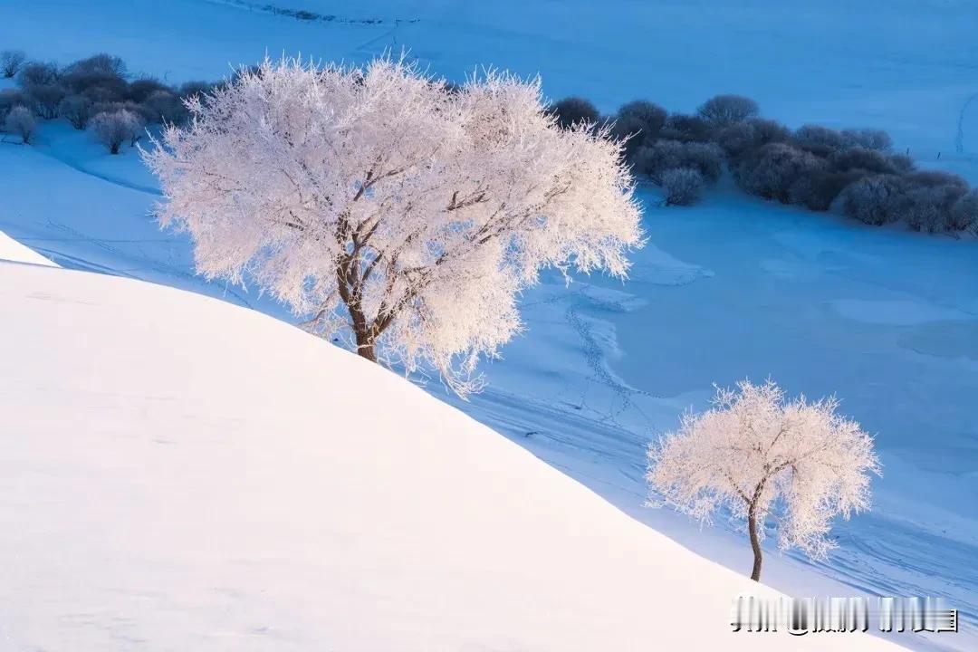 2025年1月4日-9日坝上冰雪、万马奔腾摄影创作活动，北京出发，主要拍摄内容：