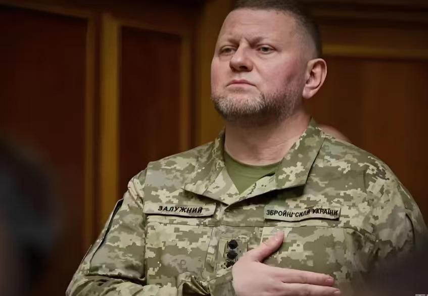 扎卢日内认为一旦冲突结束，乌克兰或爆发内战，理由是，战争结束后，上百万士兵回归社