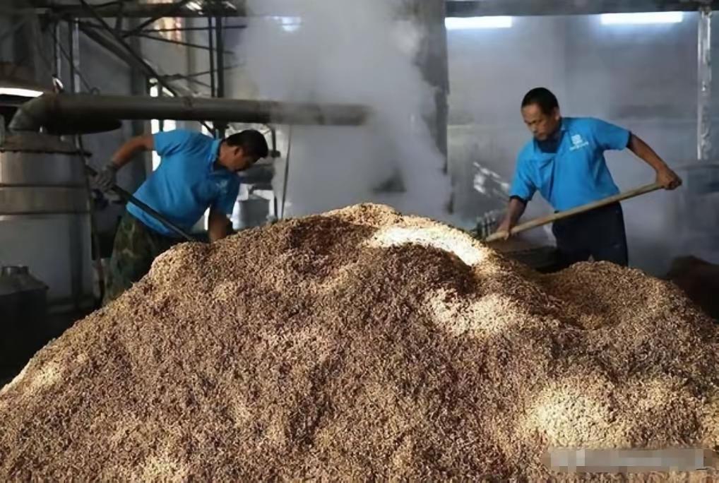 巴西正在搬起石头砸自己脚。巴西这时候与中国进行了大豆的贸易，得知中国将可能会大量