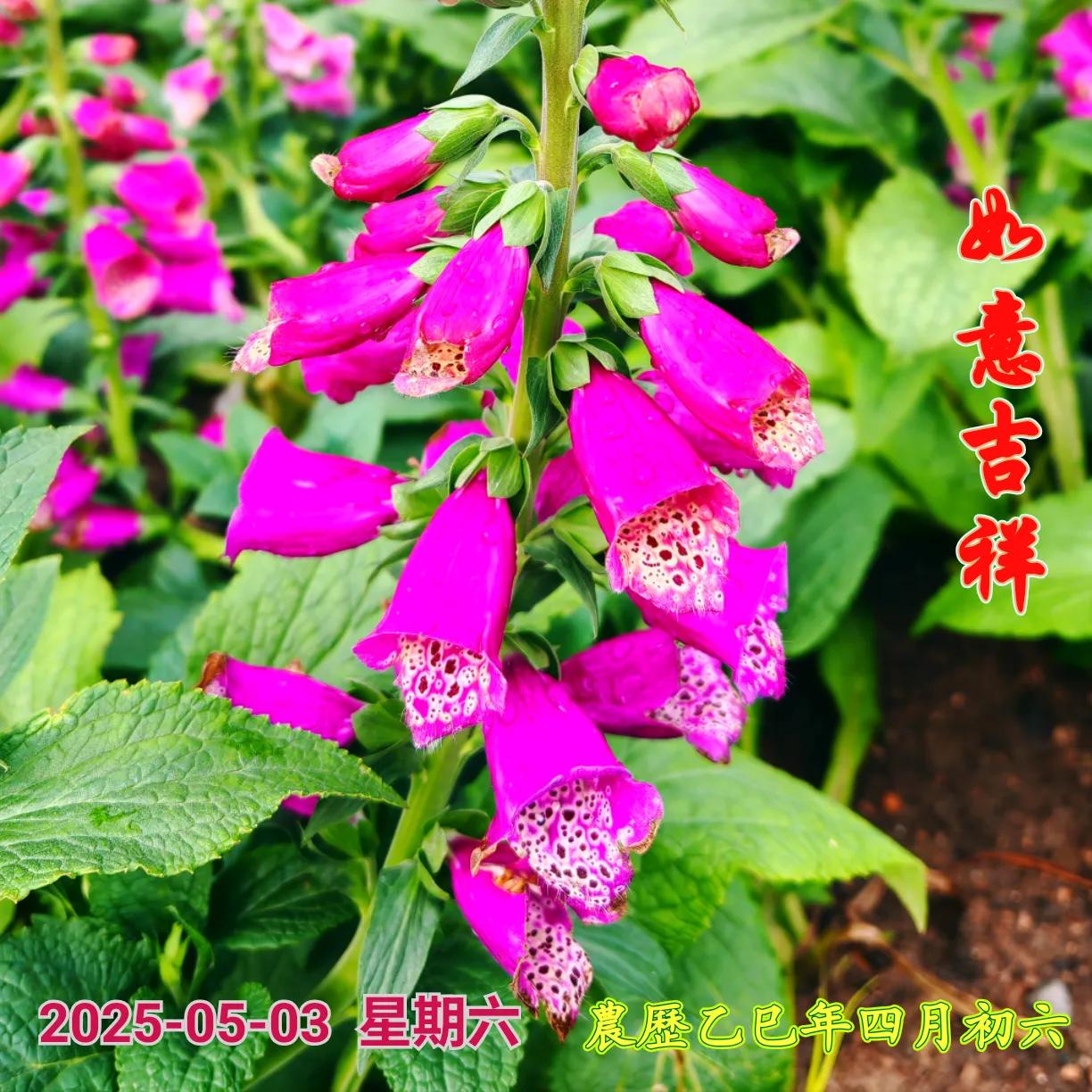 早上好！