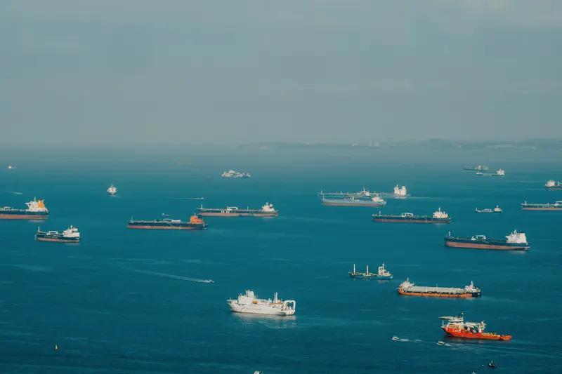 海南全面封关，新加坡怕是真得“哭”了。12月18日海南正式封关，这一脚踹开了东南