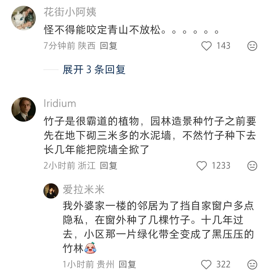 竹子🎋真的很有生命力 