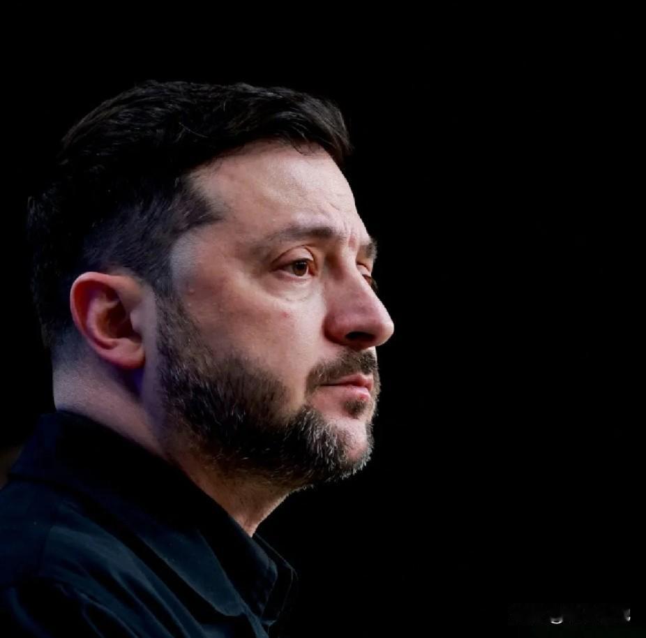 泽连斯基总统表示，他即将与美国总统唐纳德·特朗普会面。随着结束对俄战争的外交努力