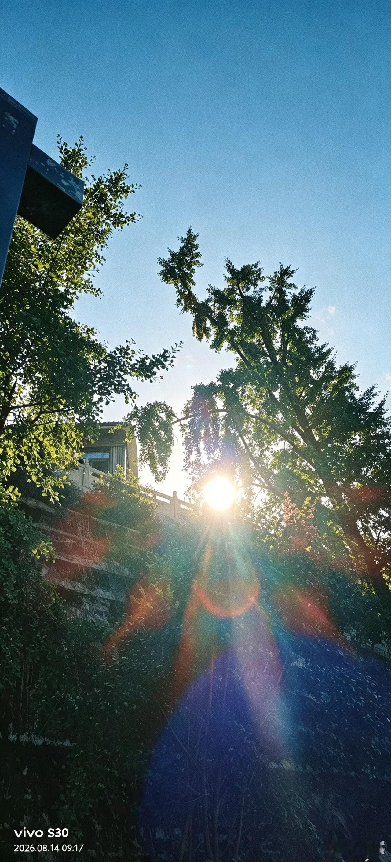不少女性一心想嫁经济优渥的伴侣
无论自己有过几段婚史
盼着住别墅，开豪车，攥着充