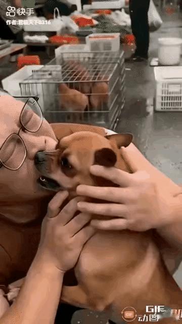 到底是谁咬谁？[尬笑]