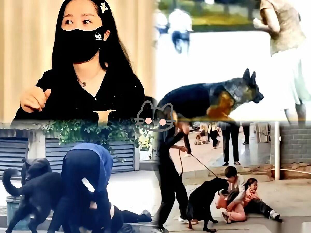 太魔幻！狗被毒死全网喊冤，孩子被咬却被质问“是不是你先惹狗”
 
这世道的同情心