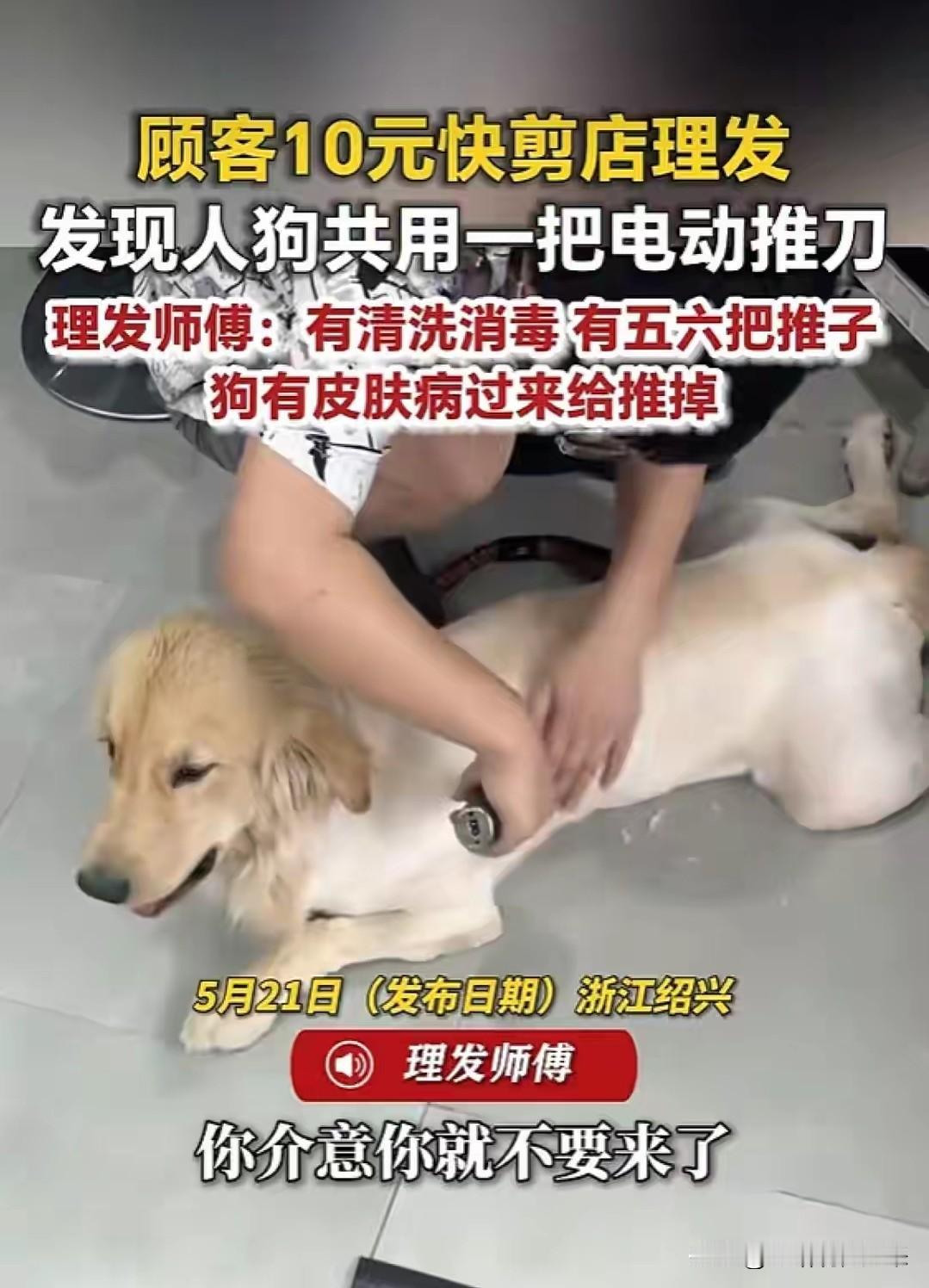 理发店被曝人狗共用一把电动推刀，老板：狗有皮肤病才给它推的，介意就别来

我就想