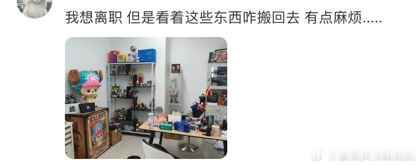 全公司最不会离职的人出现了春风里派对 校园共创计划