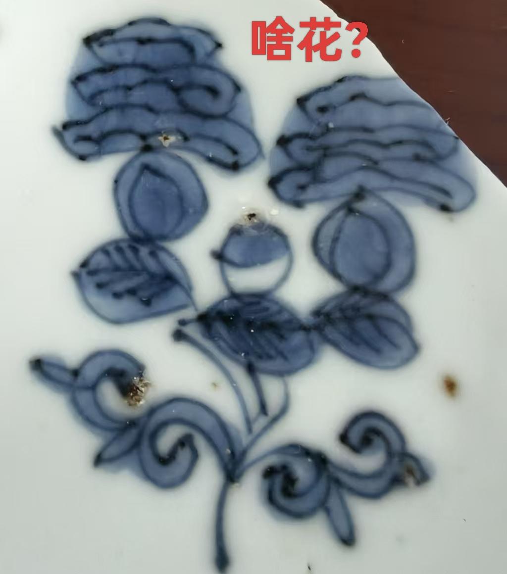 请教:这是啥花？谢谢！