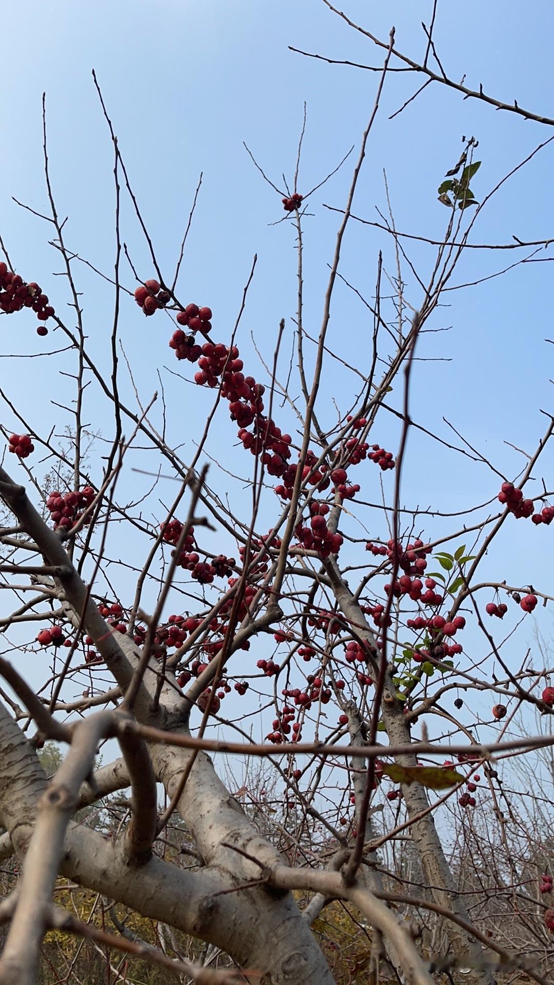 我们开始呢……都是“孔子”……
然后呢……就都变成了“老子”！
最后都是“庄子”