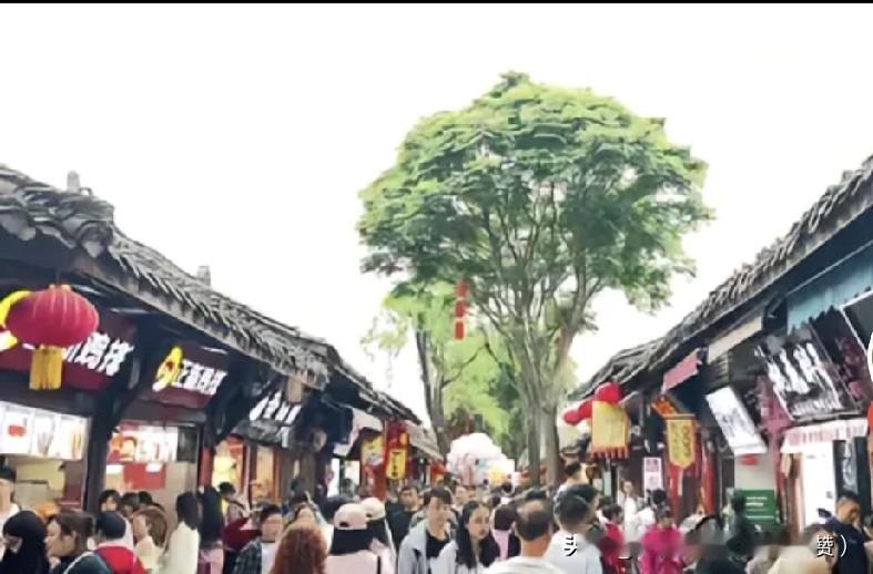 五一阆中彻底爆了！人流量直接碾压过年，全城都是人从众！
 
谁能想到！今年五一的