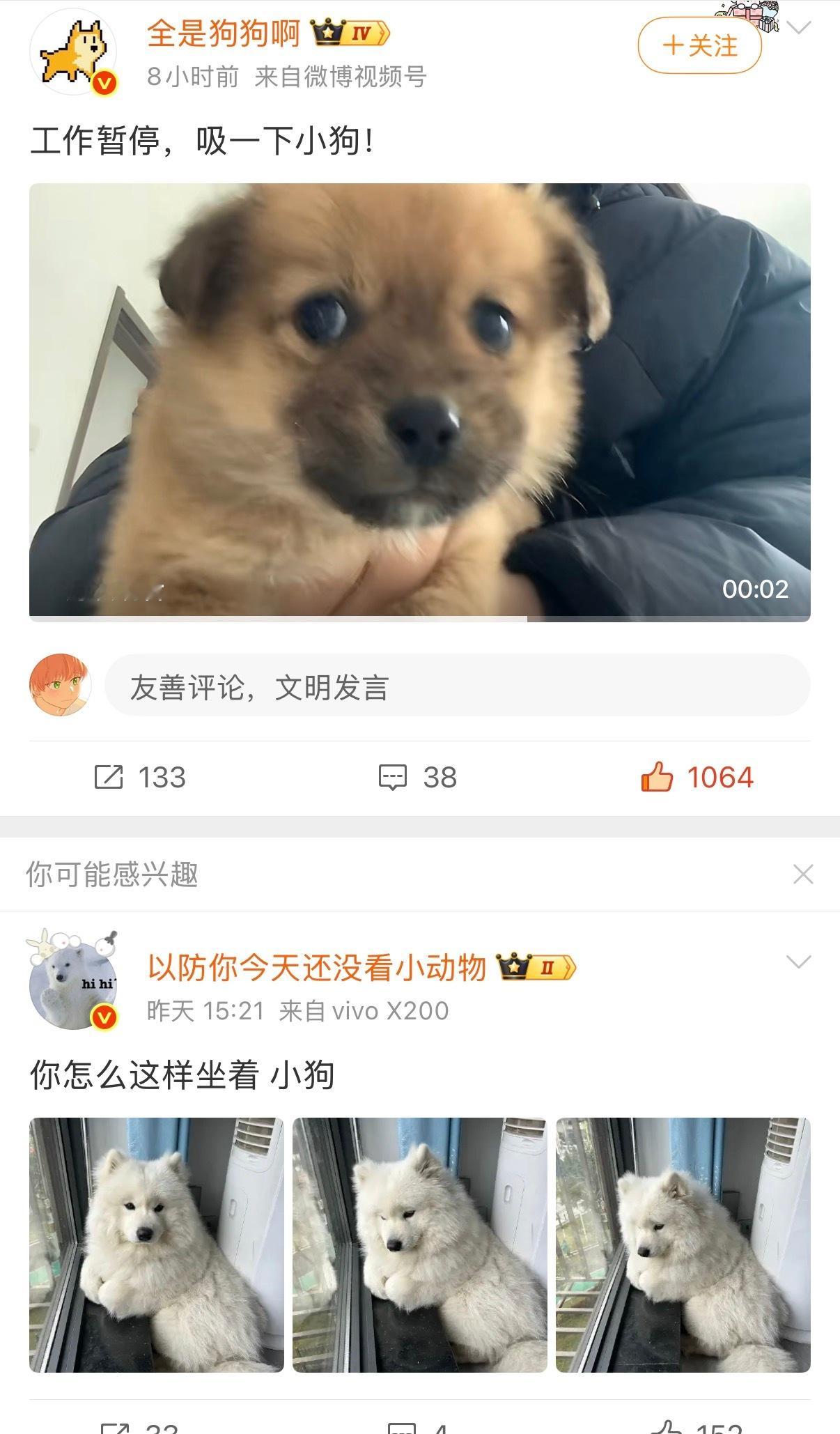 螺丝圆在我这里的两种形态 