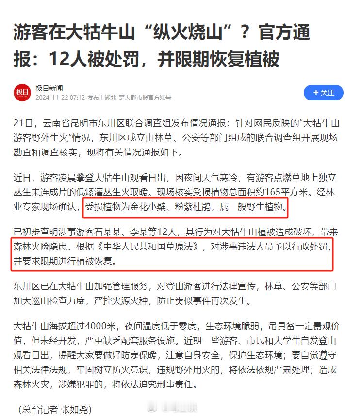 大牯牛山遭游客纵火12人被处罚  游客在大牯牛山“纵火烧山”？官方通报：“属一般