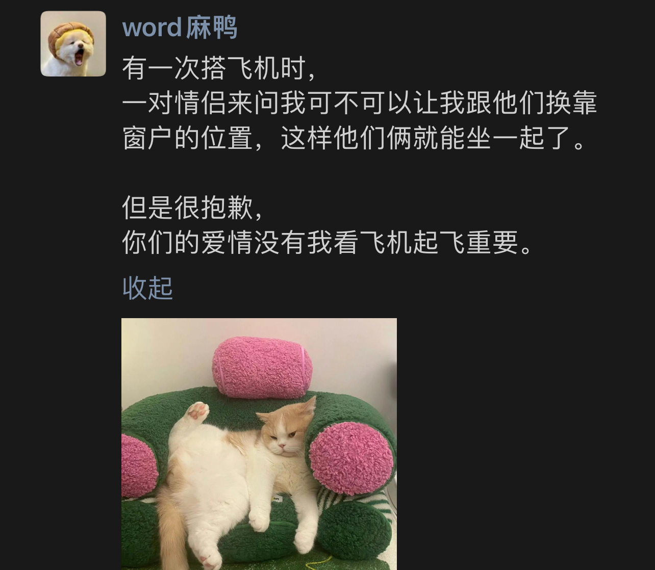 还是看飞机起飞更重要蛇年造梗大赛 ​​​