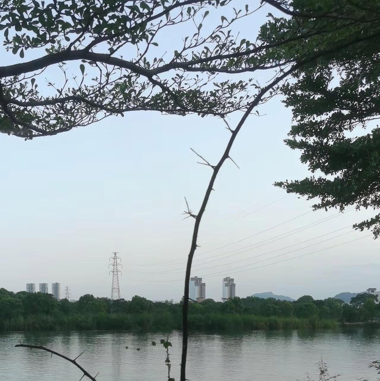 不少退休朋友都在揪心！今年养老金到底还上调吗？
 
7月份已经过完，辽宁、山东、