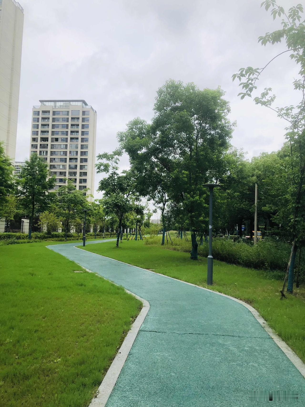 出门散步随手拍下夏日沿途的风光，热烈的紫薇、清新日日开、烂漫百日菊、大花萱草次第