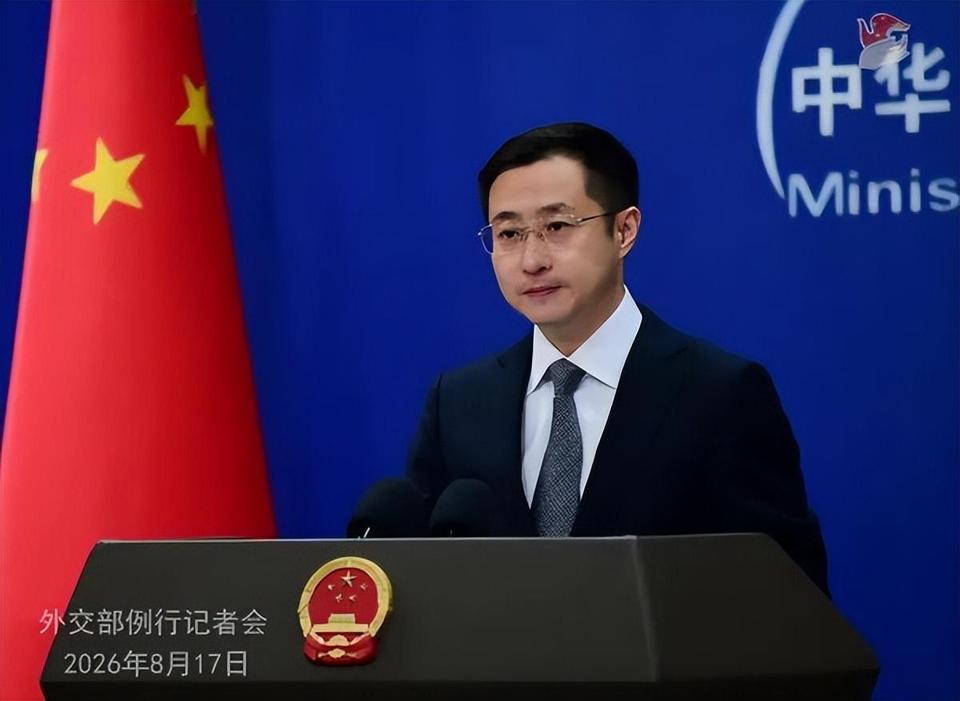 不留情面！巴基斯坦执法部门近期在首都开展专项抓捕，上百名中国籍涉案人员被依法拘留