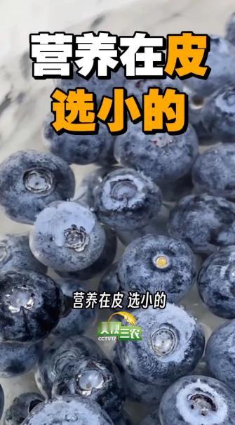 常见水果挑大还是选小？水果摊老板那句 "大的甜" 坑了我十年！上周买蓝莓，特意挑