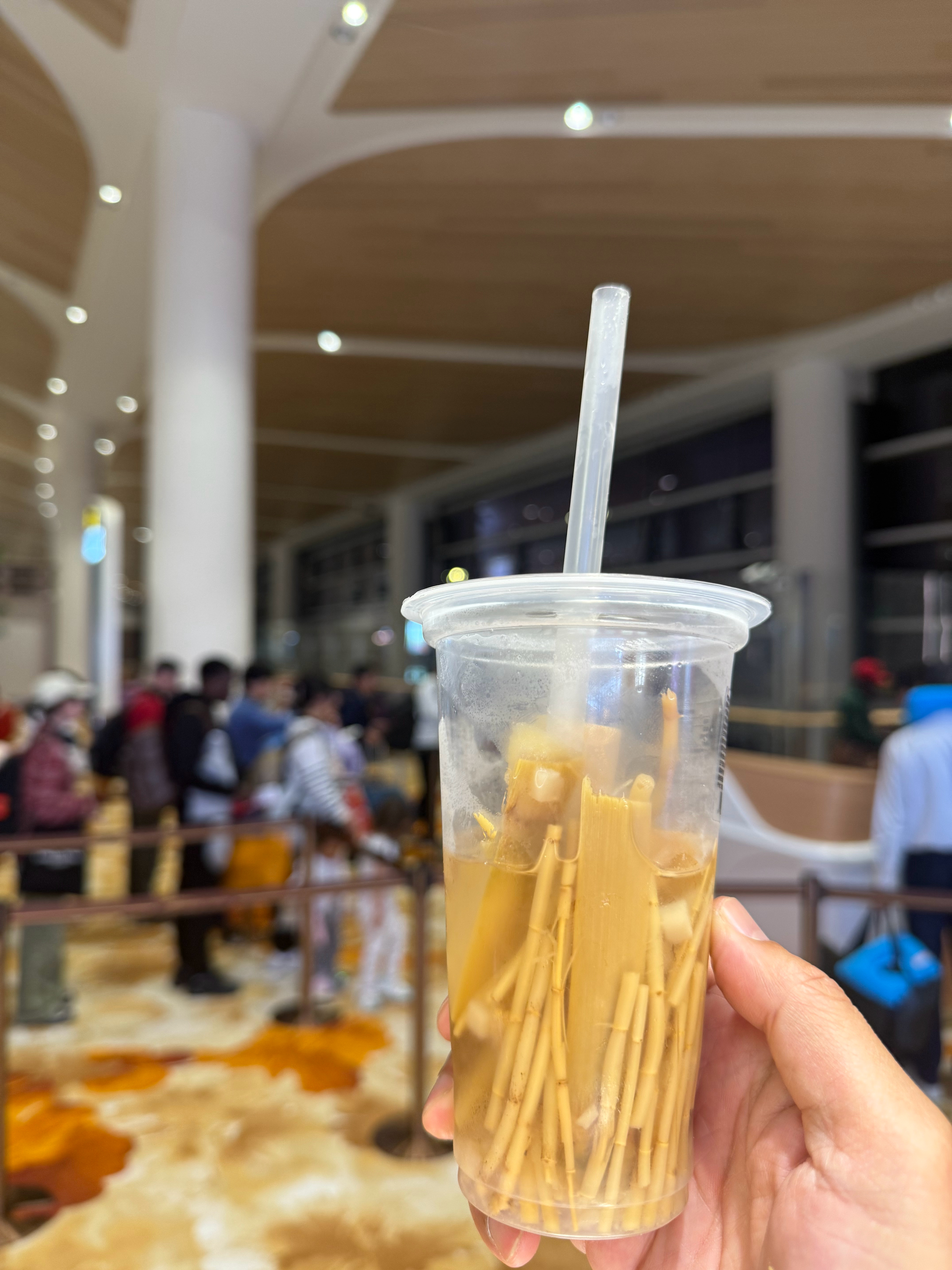 离登机还有一个多小时，我在登机口附近的中餐厅坐着，点了一杯茅根竹蔗水。透明的塑料