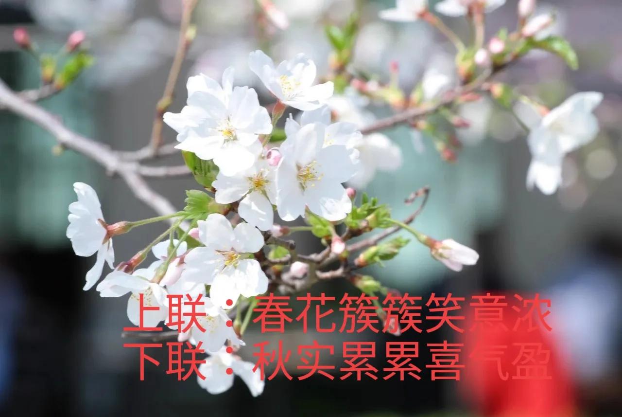 上联：春花簇簇笑意浓，
下联：秋实累累喜气盈。
#下联：秋实累累喜气盈，诚邀上联