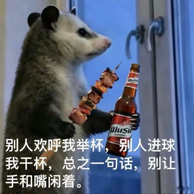 巴西VS挪威本以为是一边倒的对决，结果上演惊天冷门，北欧战神用两粒进球改写足坛剧