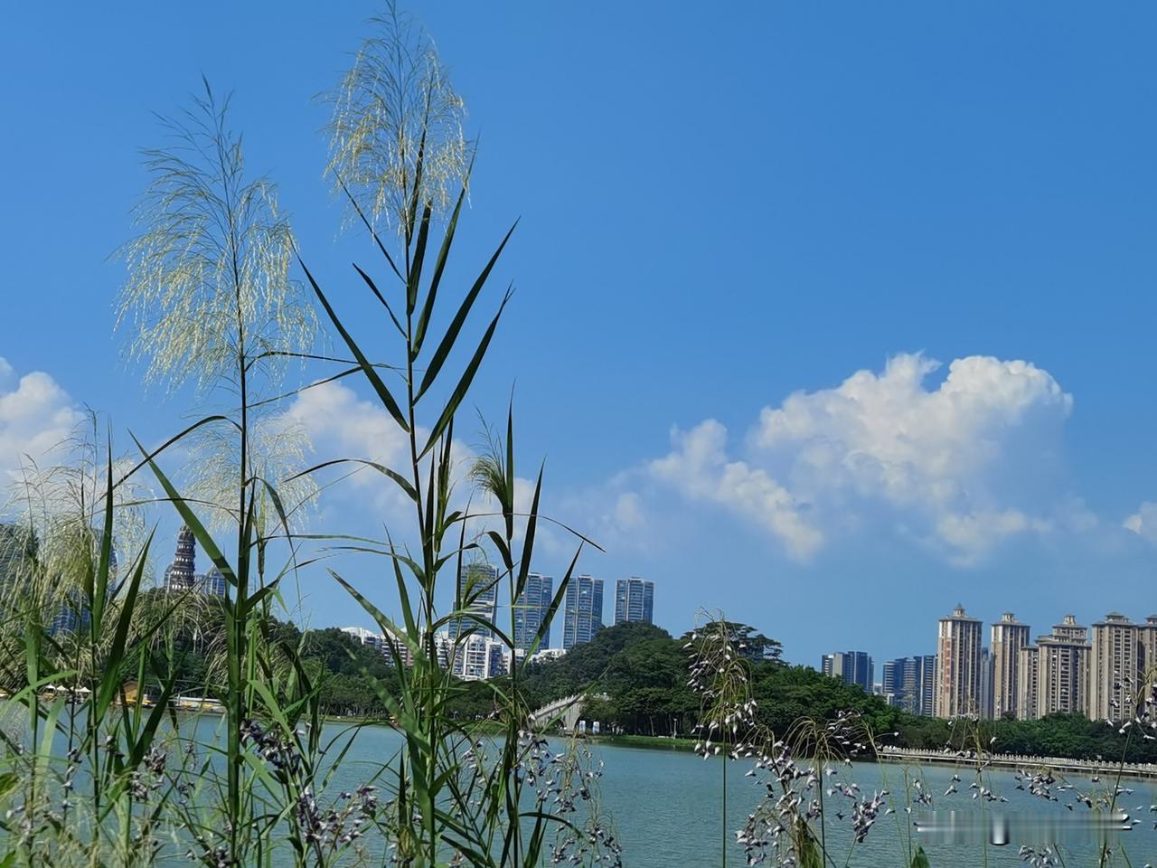 认亲后的第一个春节，
许敏夫妇不辞舟车劳顿，
背着大包小包奔赴驻马店，
与郭威一