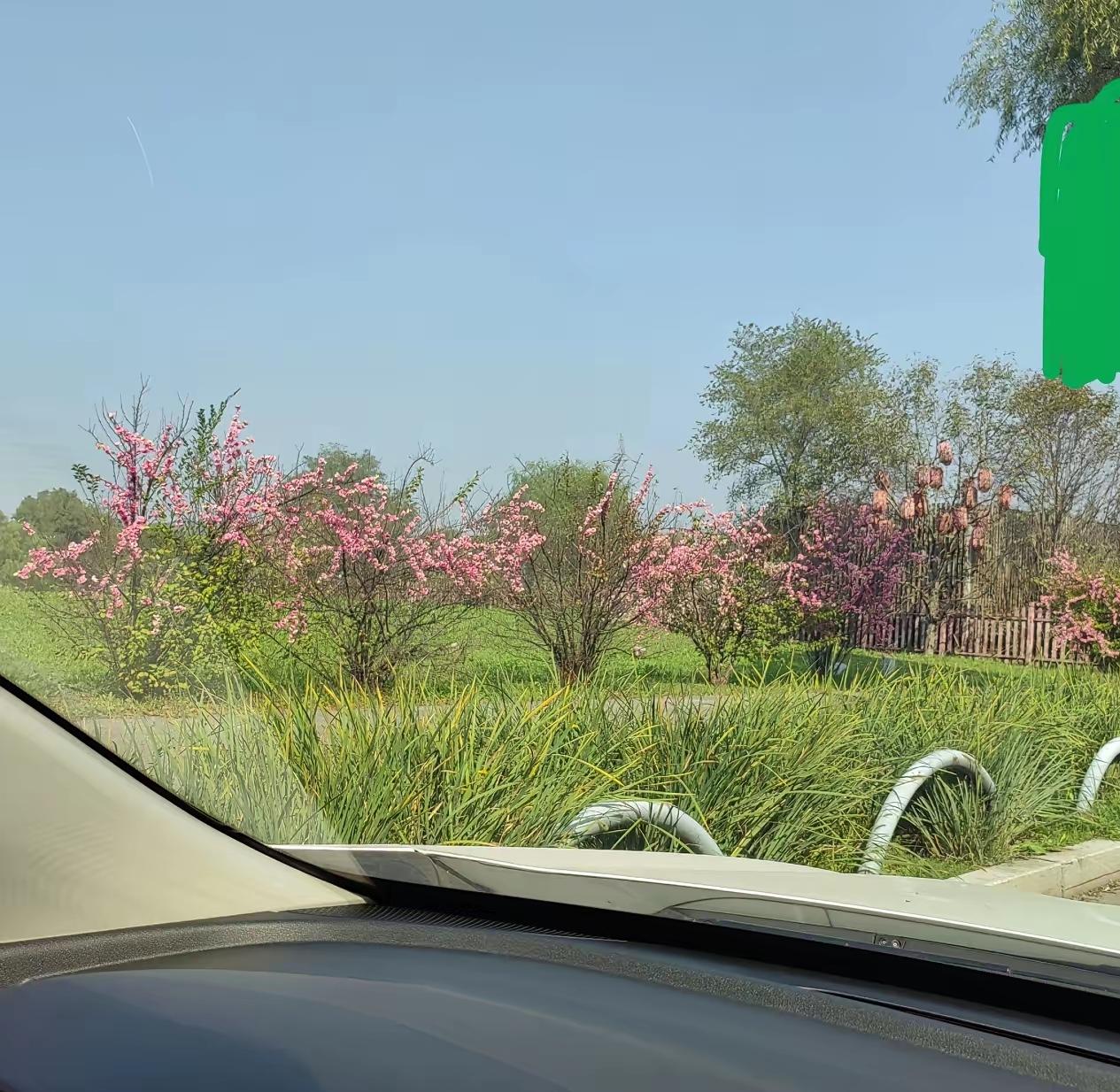 孩子结婚后，我不会和亲家来往的。
       因为不来往，就不会有矛盾。人与人