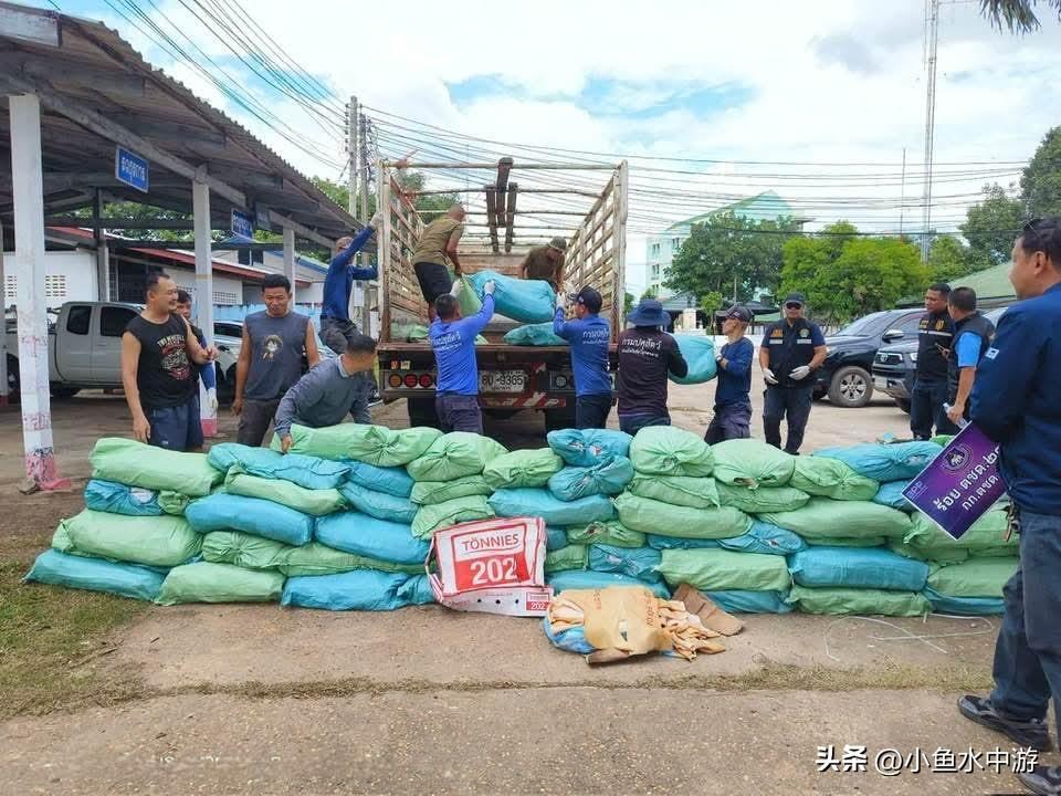 【从欧洲一路走到湄公河！泰国查获86袋“德国猪皮”，重达1.59吨！】

 这批