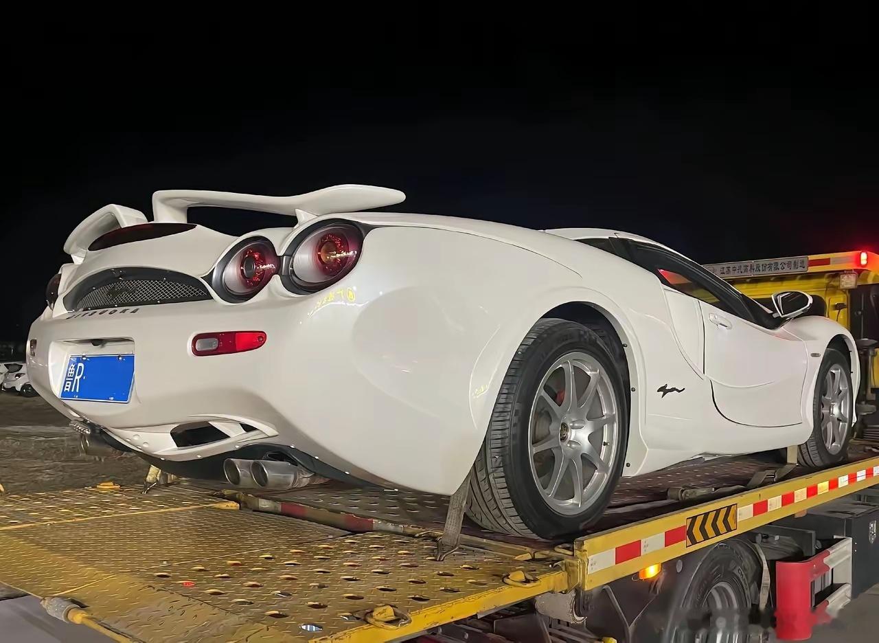 菏泽现光冈大蛇，全球限量400台，国内上牌仅5台。纯手工打造的外观，活脱脱一台行