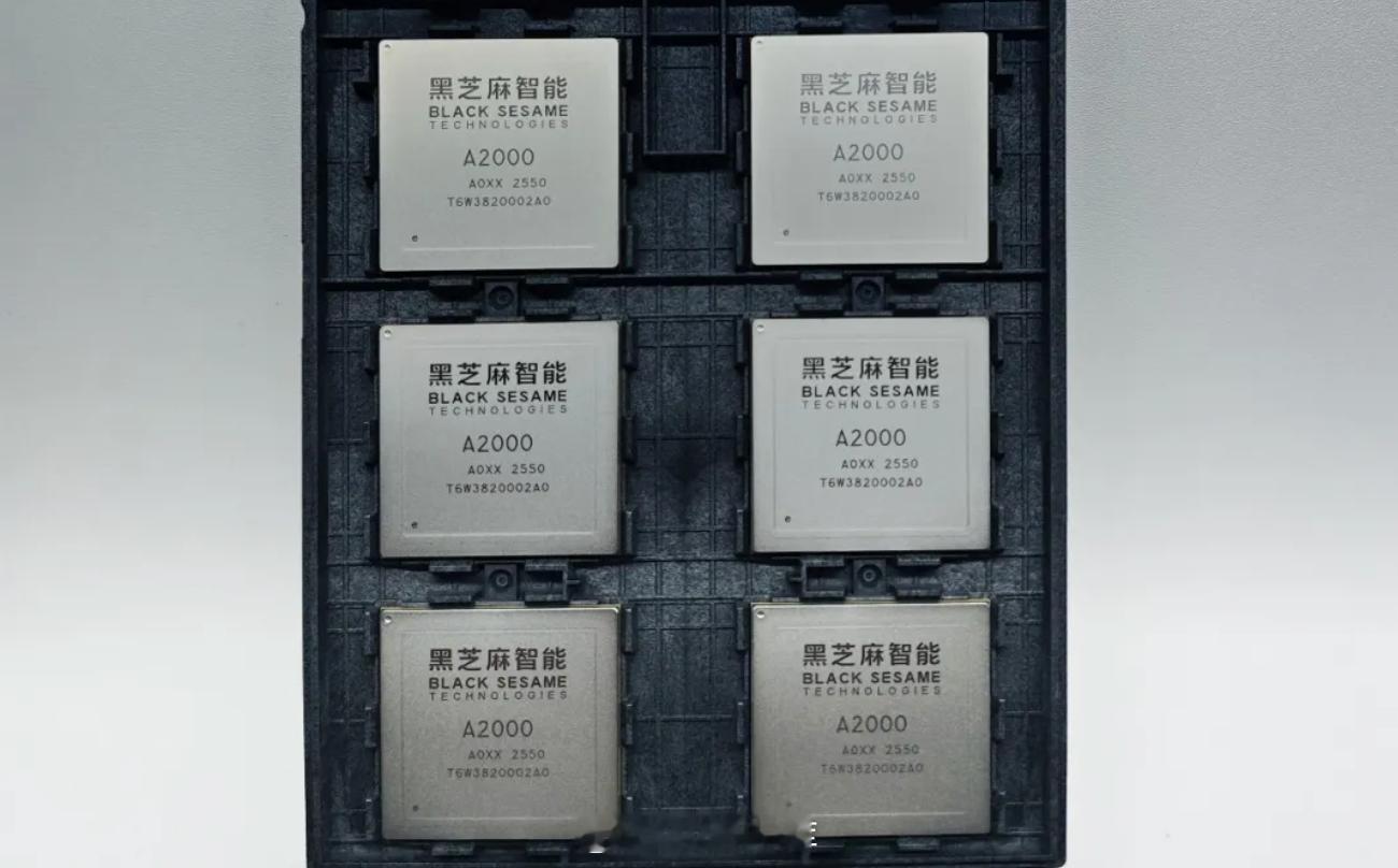 黑芝麻智能的智能驾驶芯片华山 A2000，顺利通过了美国商务部和国防部的相关审查