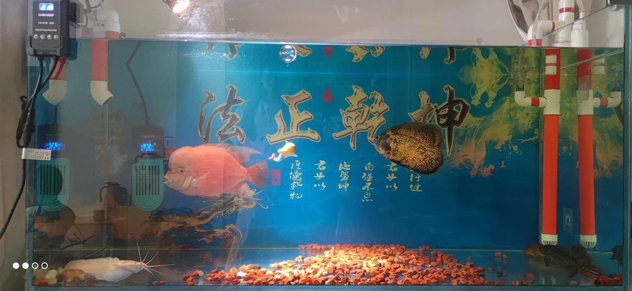 实习律师第150天
        看证据考验耐性，打印证据考验设备。
    
