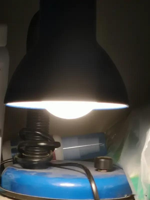 灯的亮度由什么决定?灯的亮度首先是由功率所决定，二是灯泡的发光源原理。比如节能灯