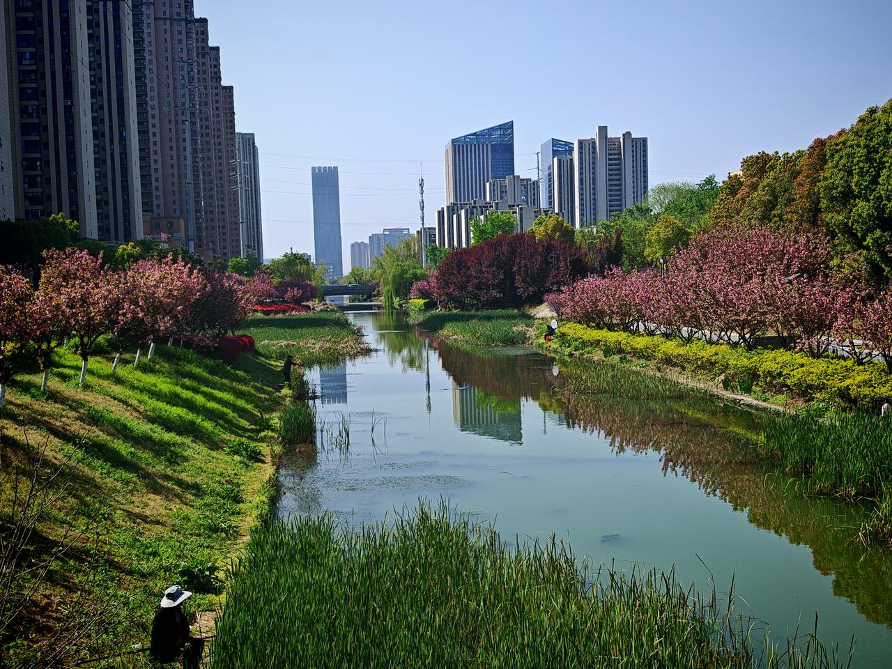 钓友出来走走看看风景