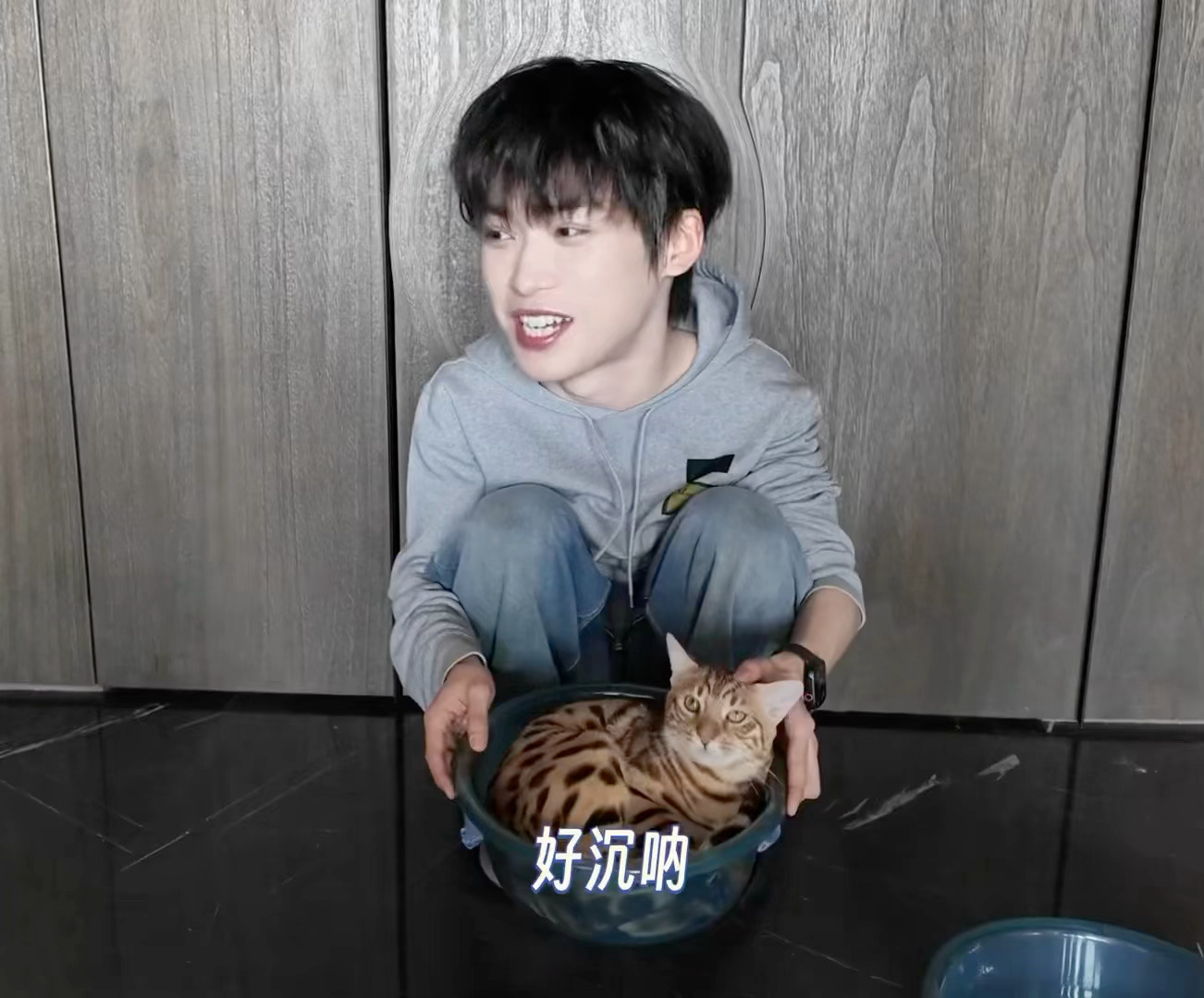 梓渝给小猫当造型师强烈推荐大家看这条可爱的vlog！梓渝温柔耐心给小猫打理造型，