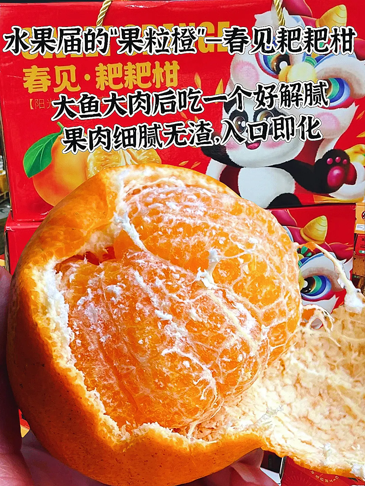 🍊春见耙耙柑 颗粒饱满 晶莹剔透 吃一口 哦～ 这爆汁的幸福感😍