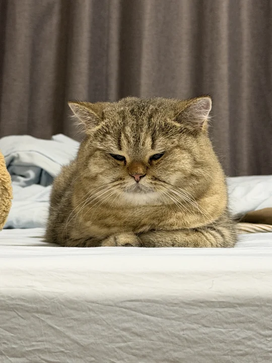 周一，有点困🥱