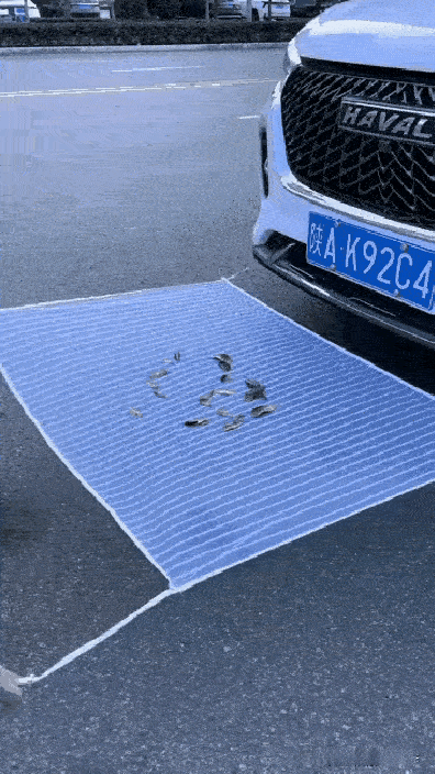 不懂就问：这种行为属于遮挡机动车号牌吗？ 