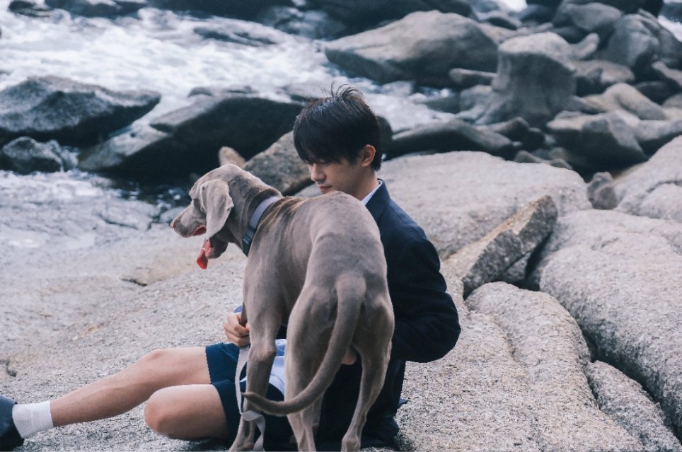 到底是谁家的狗占了易烊千玺旁边我的位置…… 