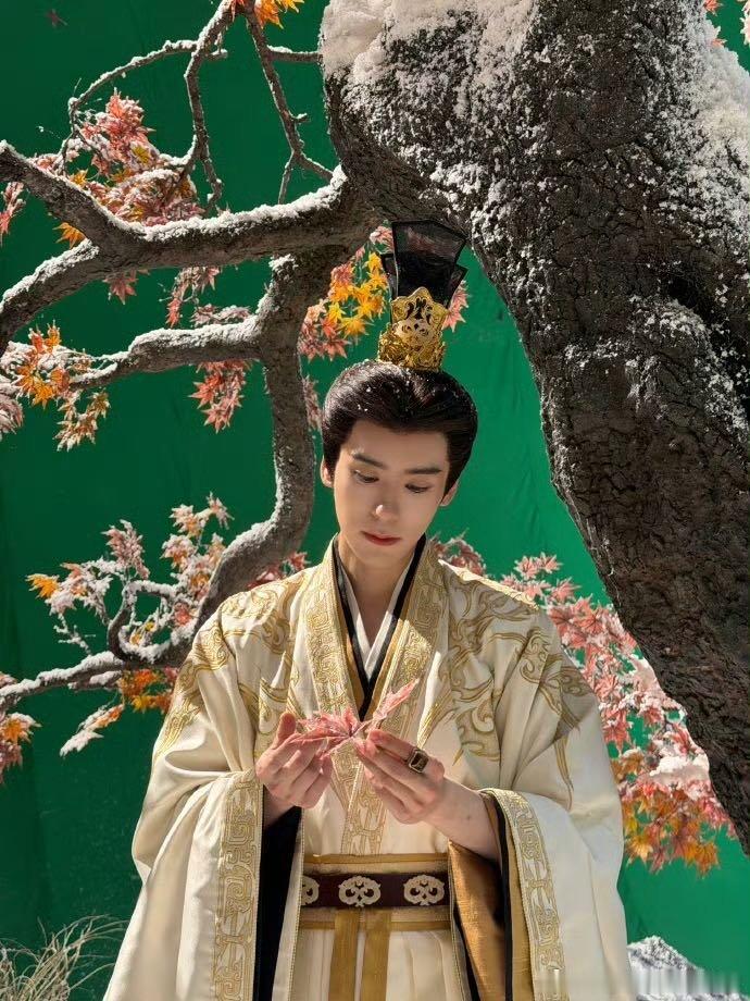 魏哲鸣古装剧掐女主脖子这块魏哲鸣掐完杨紫迪丽热巴掐吴谨言 看凤不栖特辑直接愣住，