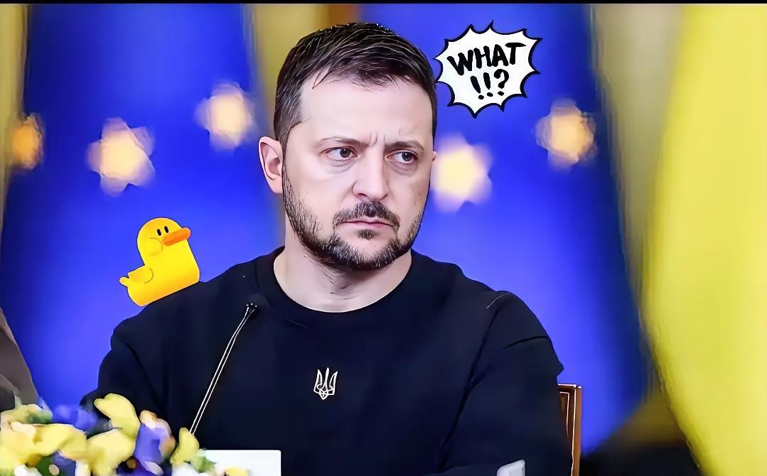 就在刚刚
乌克兰正式发布重要消息！
​2025年11月11日乌克兰国家电力公司宣