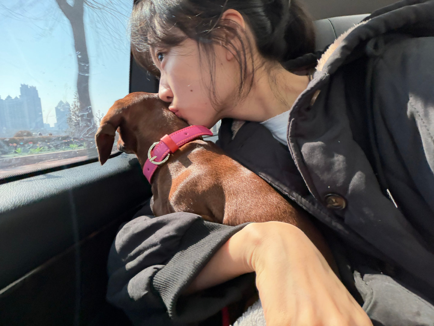 孙千让我们一起祝小狗开心孙千到底谁设计的小狗  让我们一起祝小狗开心🐶，小狗真