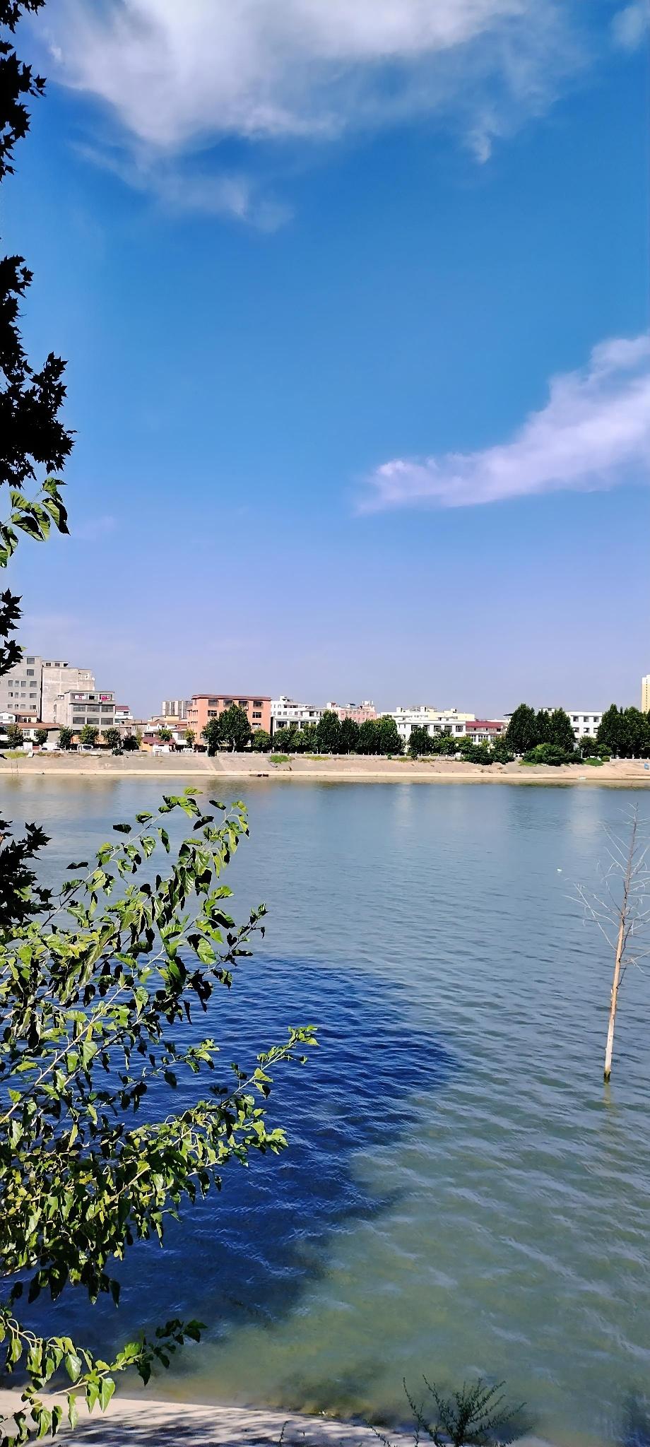 昨天下午把孙子送到南关小学上学后，就去了沈丘五空闸与十八空大闸中间公园。那里的人