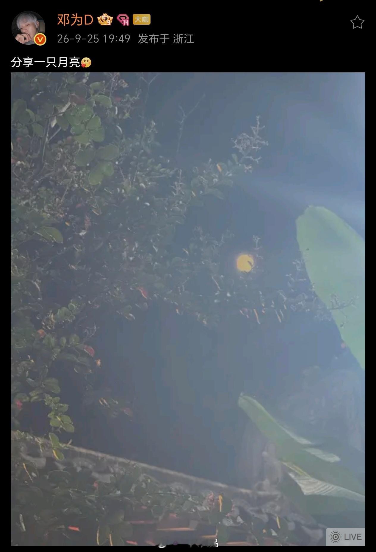 邓为空降超话，给大家分享一只月亮[爱你] ​​​