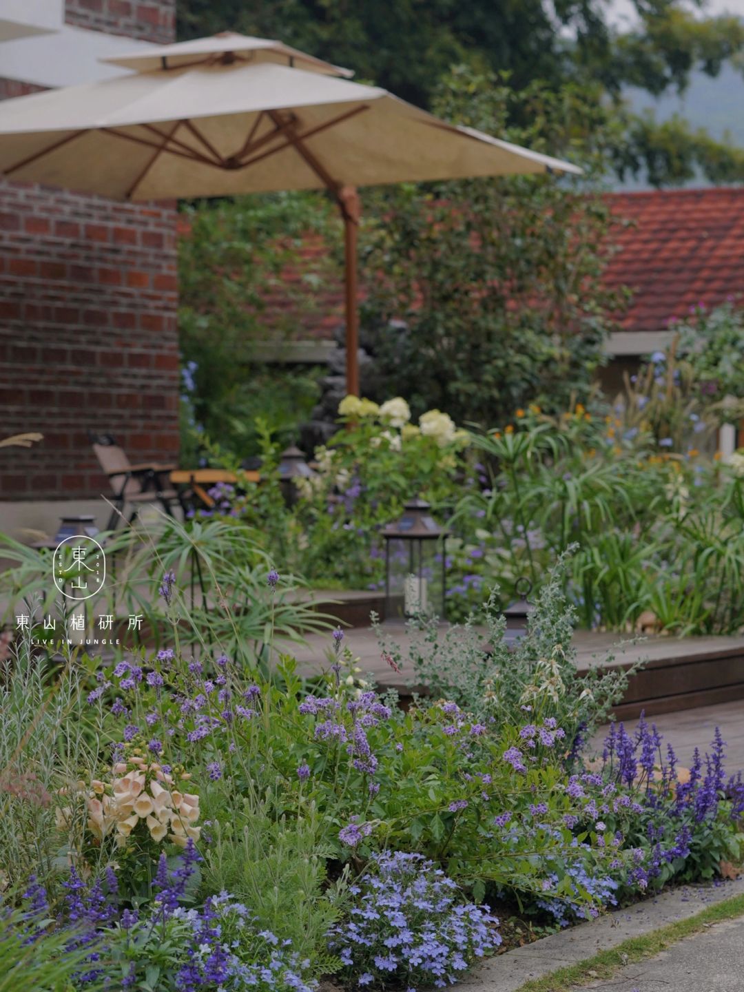 花园设计｜自然清新 慵懒自在的氛围感小院🍃
