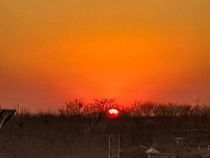 晚饭后溜弯经常看到太阳落山美景，天边一片晕红，万道霞光太美了，往往我会随手拍下[