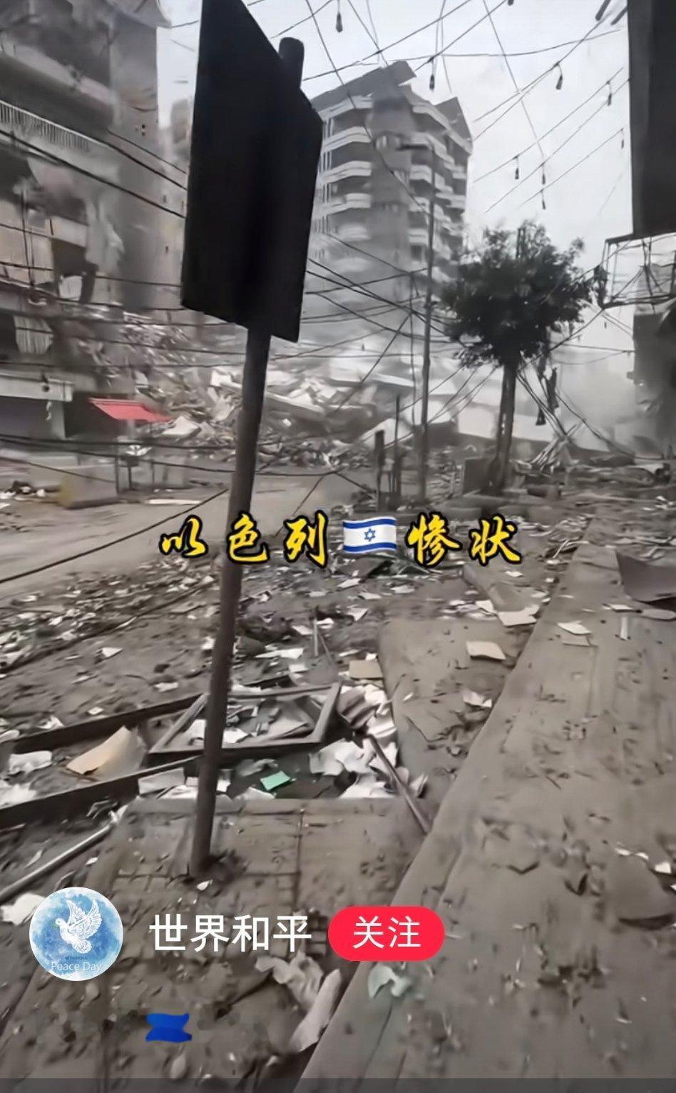 好好的，别人为啥要打它呢？ 